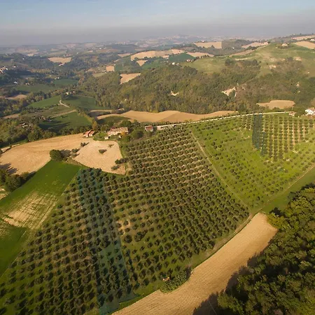 Serena -petritoli- * Petritoli