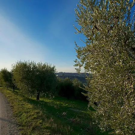 Serena -petritoli- Petritoli