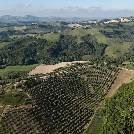 Serena -petritoli- דירה