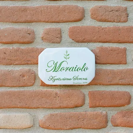 דירה Serena -petritoli- Petritoli