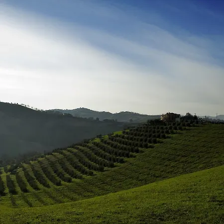 דירה Serena -petritoli- Petritoli