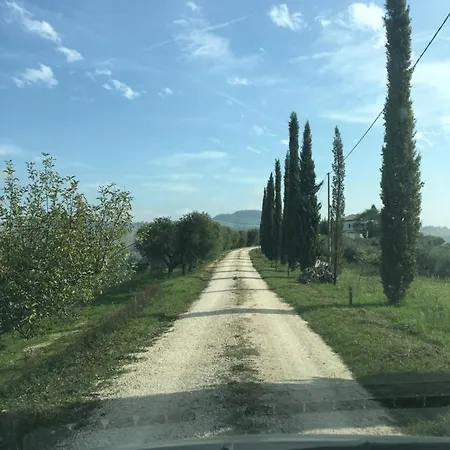 Apartament Serena -petritoli- *