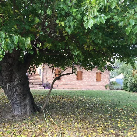 Apartament Serena -petritoli- Petritoli